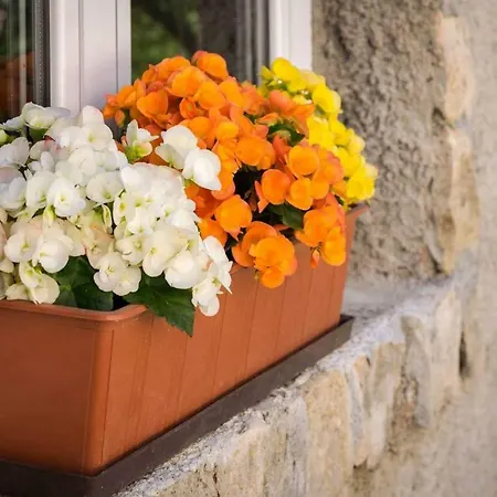 Apartman Tea Apartment Zadar